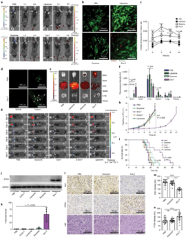 18125428563108.gif image010.gif