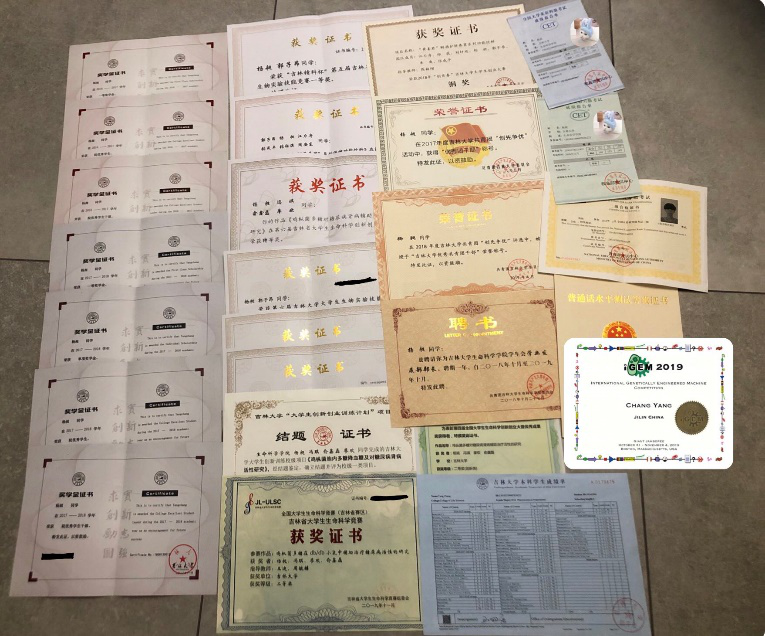 11120922864396.png 611.8.png