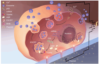 18125415371541.gif image008.gif