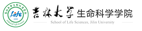BG大游
